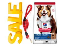 מזון לכלבים מבוגרים הילס סיינס פלאן כבש