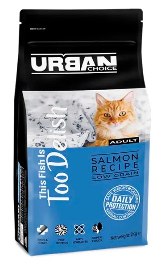 אורבן צ'ויס חתול בוגר סלמון