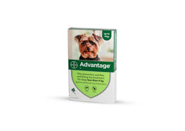 אדוונטג' לכלבים במשקל עד 4 ק"ג