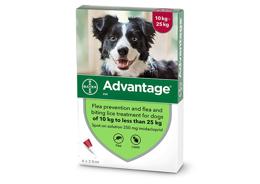 אדוונטג' לכלבים במשקל 10-25 ק"ג