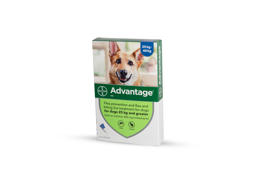 אדוונטג' לכלבים במשקל מעל 25 ק"ג