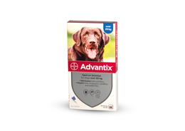 אדוונטיקס לכלבים במשקל מעל 25 ק"ג