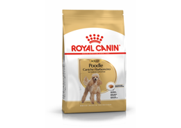 רויאל קנין מזון לכלב בוגר מגזע פודל