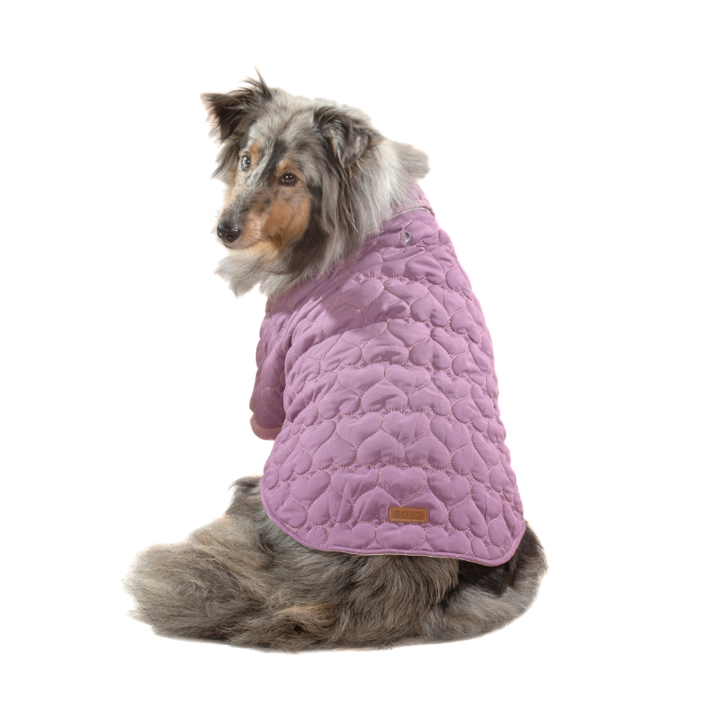 בובו מעיל לבבות סגול לכלב - גודל לבחירה  