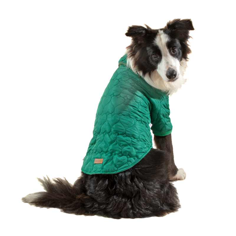 בובו מעיל לבבות ירוק לכלב - גודל לבחירה