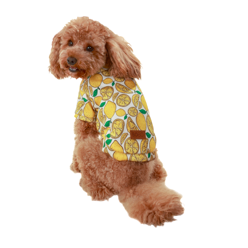 בובו טריינינג לימונים לכלב - גודל לבחירה 