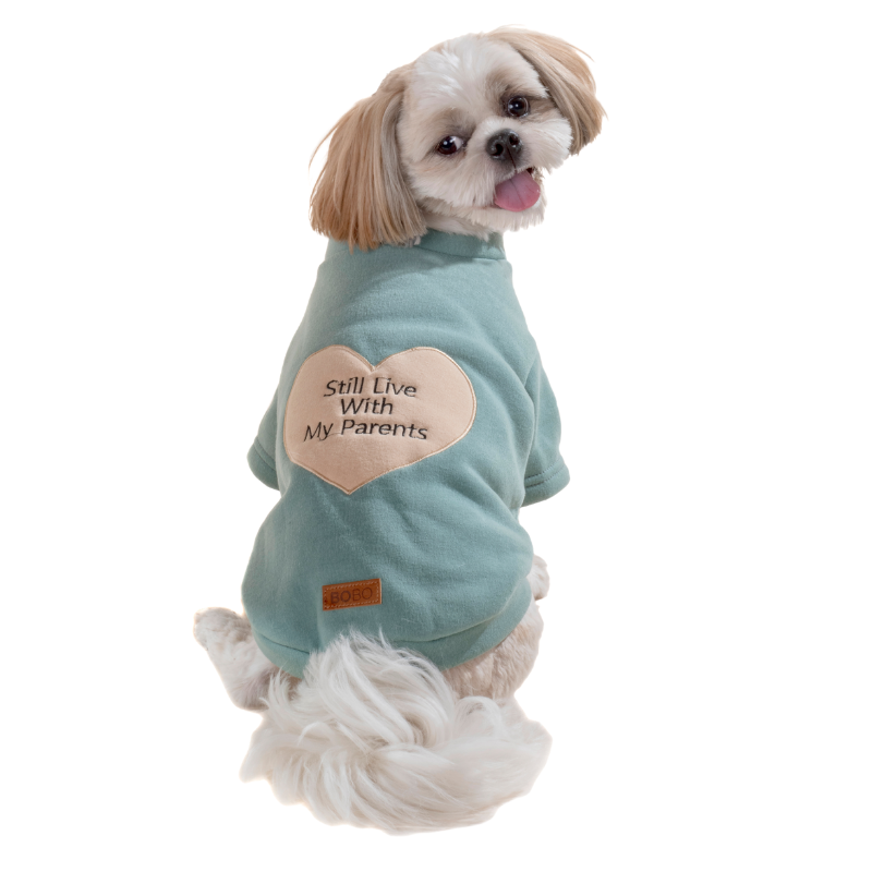 בובו סווטשירט לכלב - גודל לבחירה  