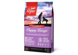 אוריג'ן מזון לכלב גור גזע גדול