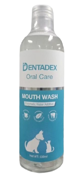 דנטדקס מי פה לחיות מחמד