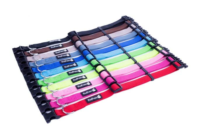 קולר בייסיק 10מ"מ מידה XS - מגוון צבעים לבחירה