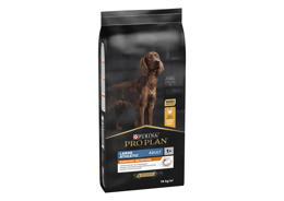 פרו פלאן פורינה כלב בוגר מגזע גדול עוף