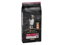 פרו פלאן פורינה כלב בוגר בינוני סלמון