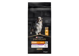 פרו פלאן פורינה כלב מבוגר 7+ עוף