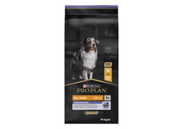 פרו פלאן פורינה כלב פעיל \ כלבות הרות ומניקות