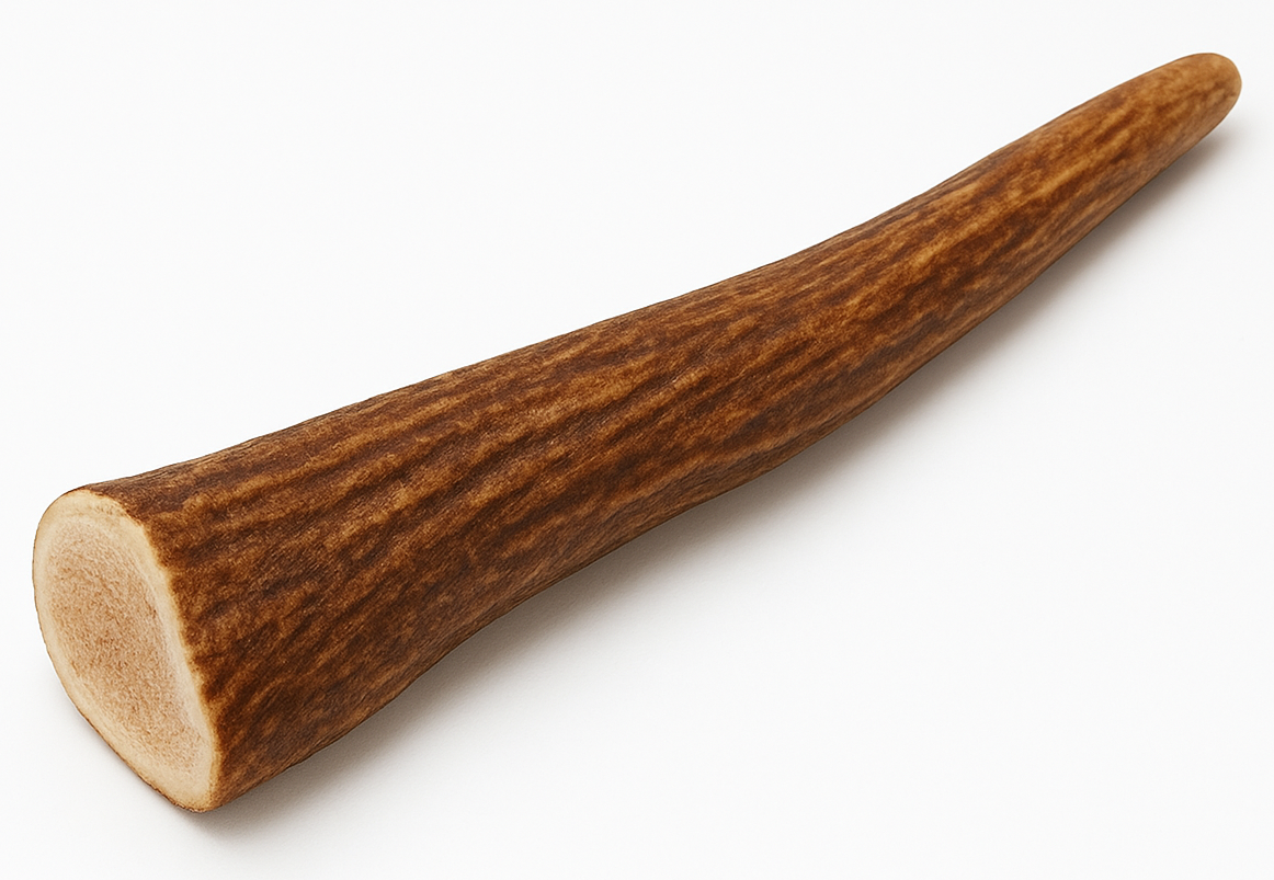 קרן אייל אדום שלמה - גודל לבחירה