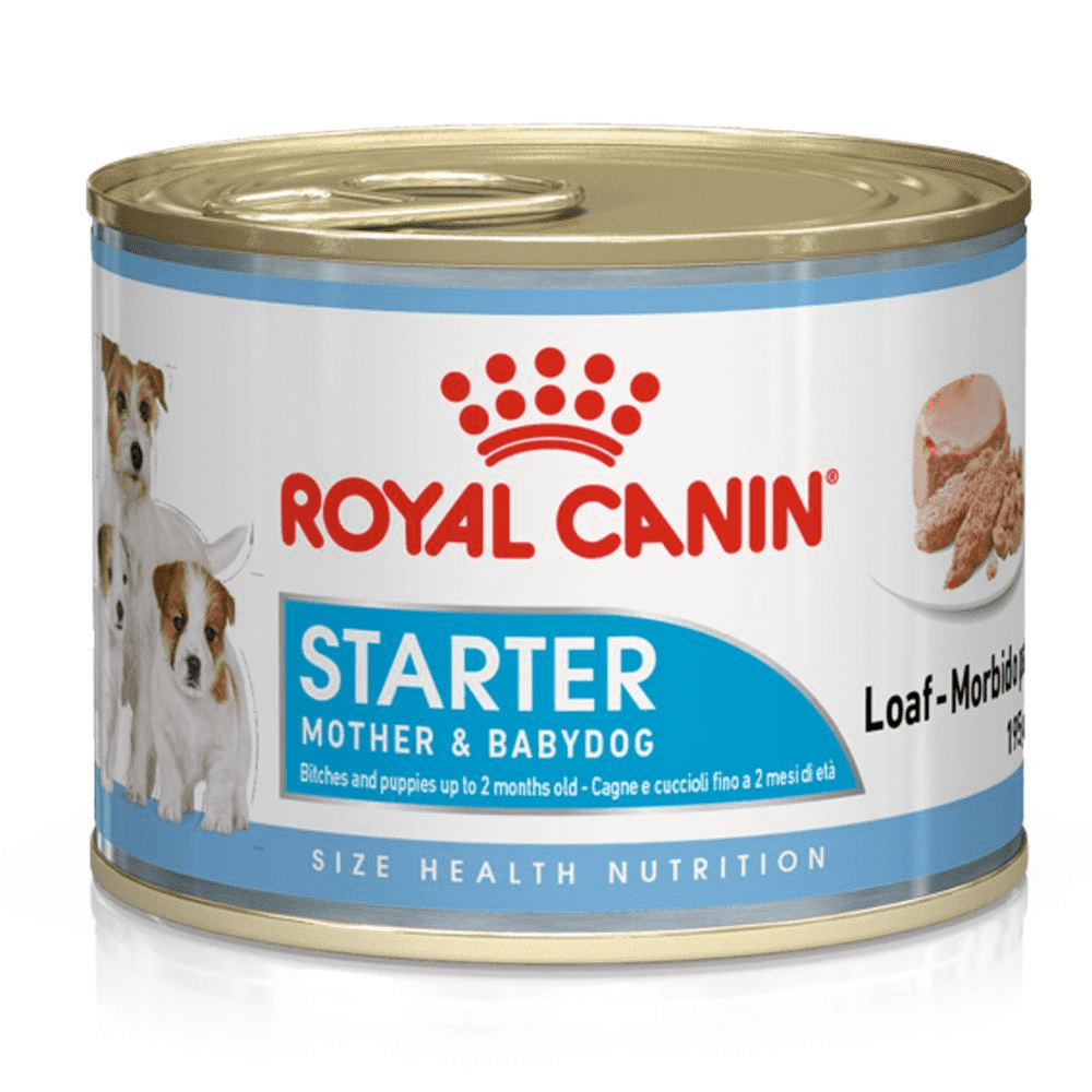 מגש 12 יחידות רויאל קנין שימורי סטארטר לאם ולגורים