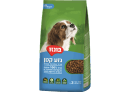 בונזו בוגר גזע קטן