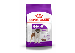 רויאל קנין מזון לכלב בוגר מגזע ענק
