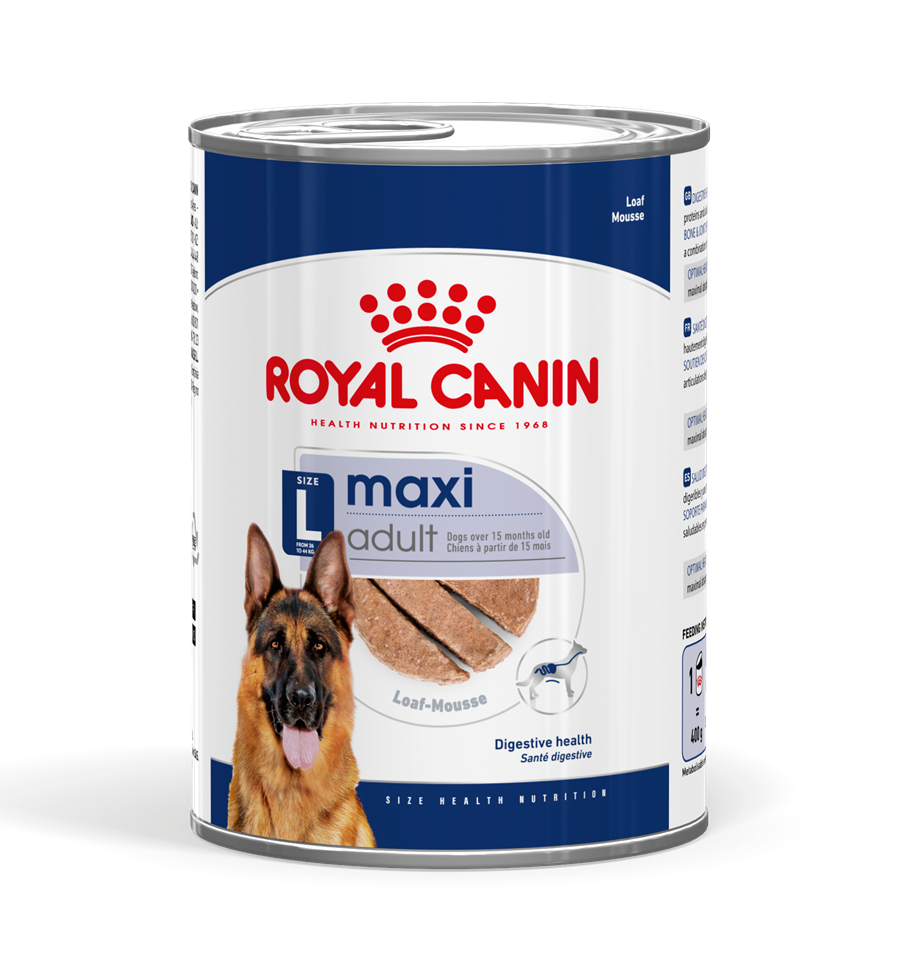 מגש 12 יחידות רויאל קנין שמורים לכלב מקסי אדולט