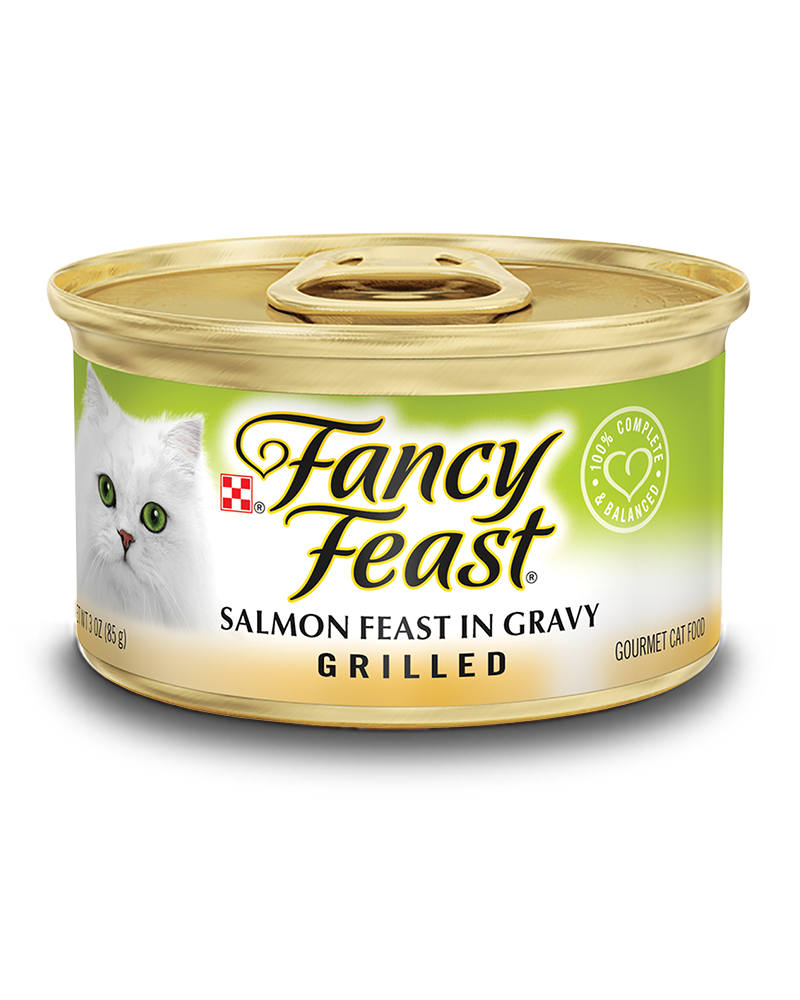 24 יחידות פנסי פיסט לח לחתול גריל סלמון