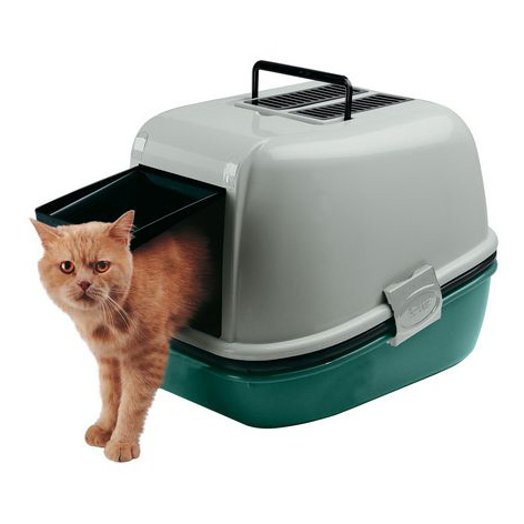 שירותים לחתולים  סגורים מג'יקס