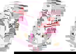 מארז 12 יחידות רויאל קנין פאוץ' לחתול קיטן פטה