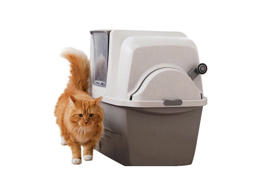 שירותים חצי  אוטומטיים לחתול סמארט סיפט