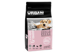 אורבן צ'ויס גור גזע קטן ובינוני