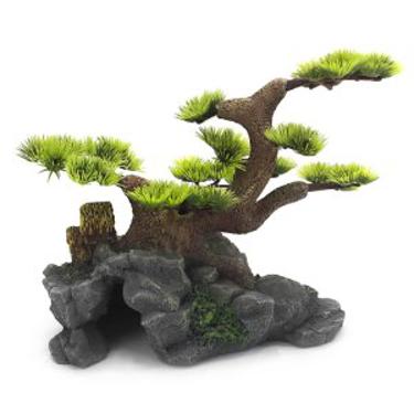 דקורציה לאקווריום