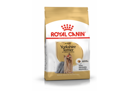 רויאל קנין מזון לכלב בוגר מגזע יורקשייר