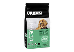 אורבן צ'ויס בוגר גזע בינוני