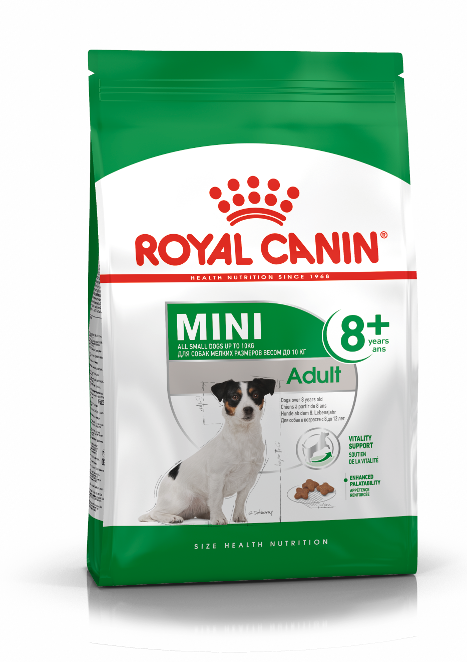 רויאל קנין מזון לכלב מבוגר 8+ מגזע קטן