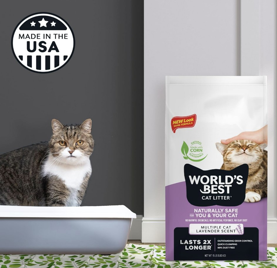 החול הטוב בעולם מתגבש למספר חתולים בניחוח לבנדר