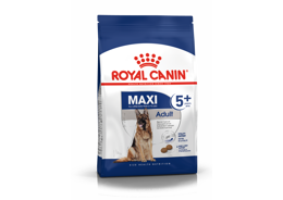 רויאל קנין מזון לכלב בוגר 5+ מגזע גדול