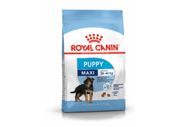 רויאל קנין מזון לגורי כלבים מגזע גדול