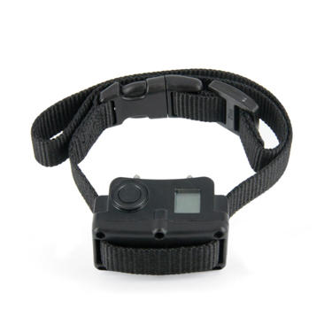 ציוד אילוף ומשמעת