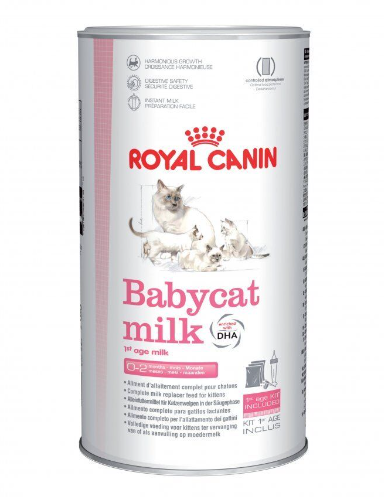 רויאל קנין אבקת חלב לגורי חתולים