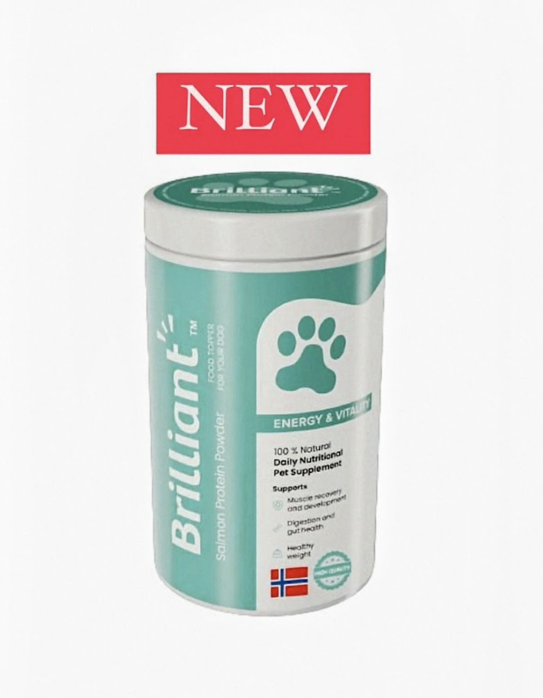 בריליאנט תוסף לעיכול ובריאות המעיים לכלבים