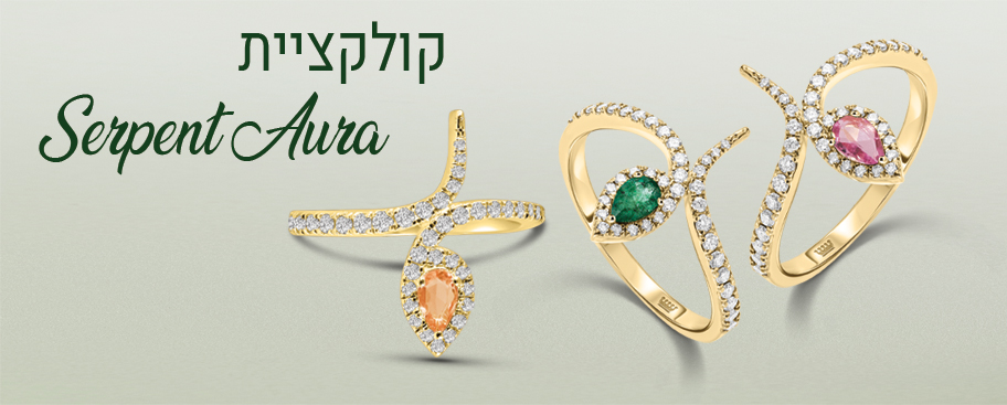 912-367מבצע-עגילים(2025)