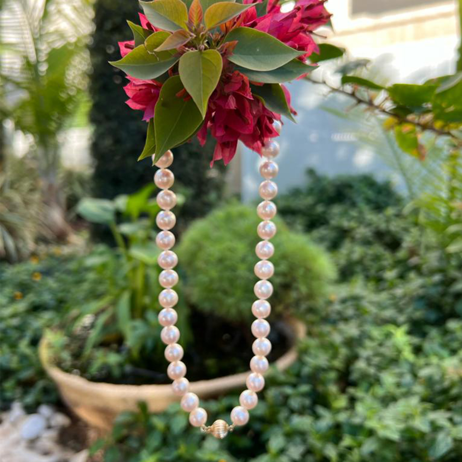 מחרוזת פנינים