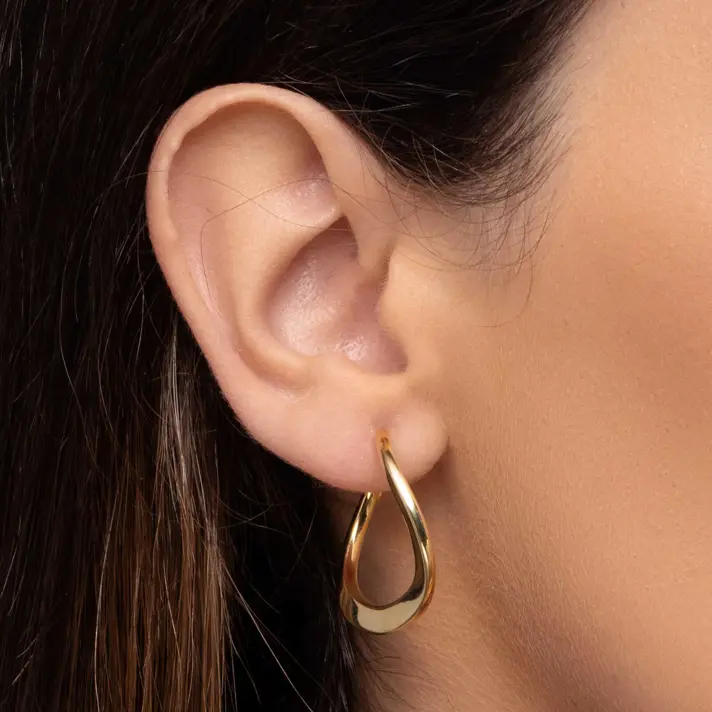 עגילי חישוק טלאור