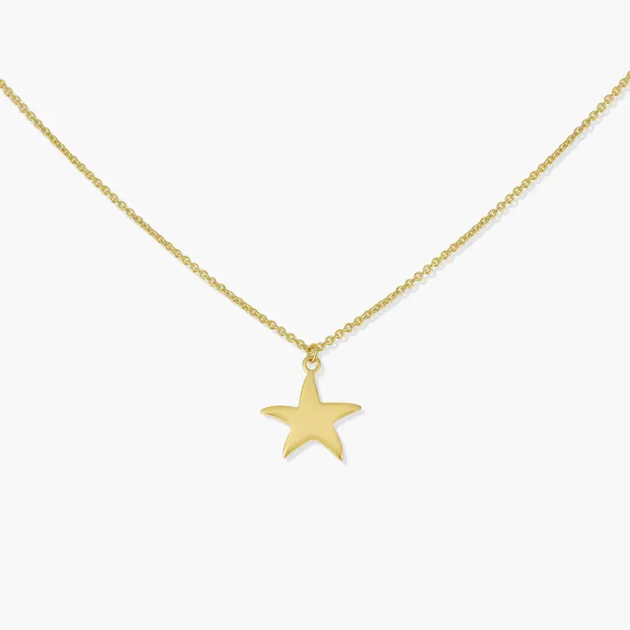 שרשרת זהב 14K עם תליון כוכב ים