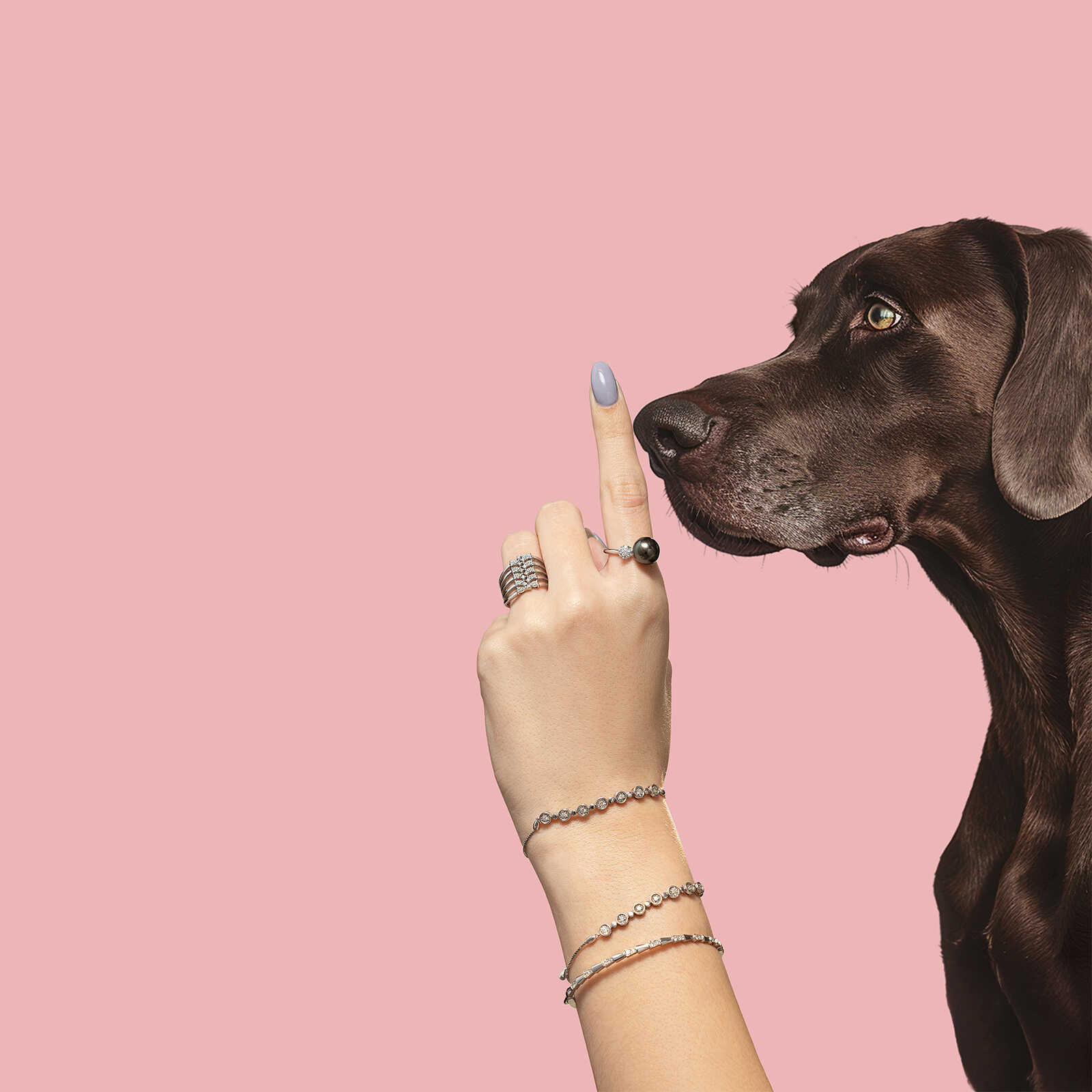 טבעת  10 החיצים בזהב לבן משובצת יהלומים