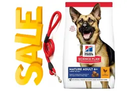 הילס מזון לכלב סניור גזע גדול עוף