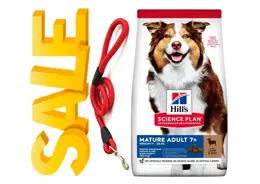 מזון לכלבים מבוגרים הילס סיינס פלאן כבש