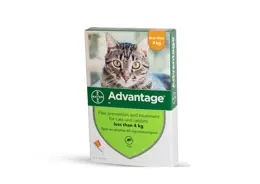 אדוונטג' לחתולים במשקל עד 4 ק"ג