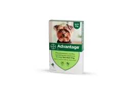 אדוונטג' לכלבים במשקל עד 4 ק"ג