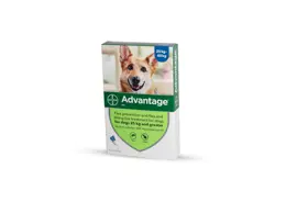 אדוונטג' לכלבים במשקל מעל 25 ק"ג