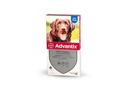 אדוונטיקס לכלבים במשקל מעל 25 ק"ג