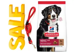 מזון לכלבים בוגר מגזע גדול הילס סיינס פלאן כבש